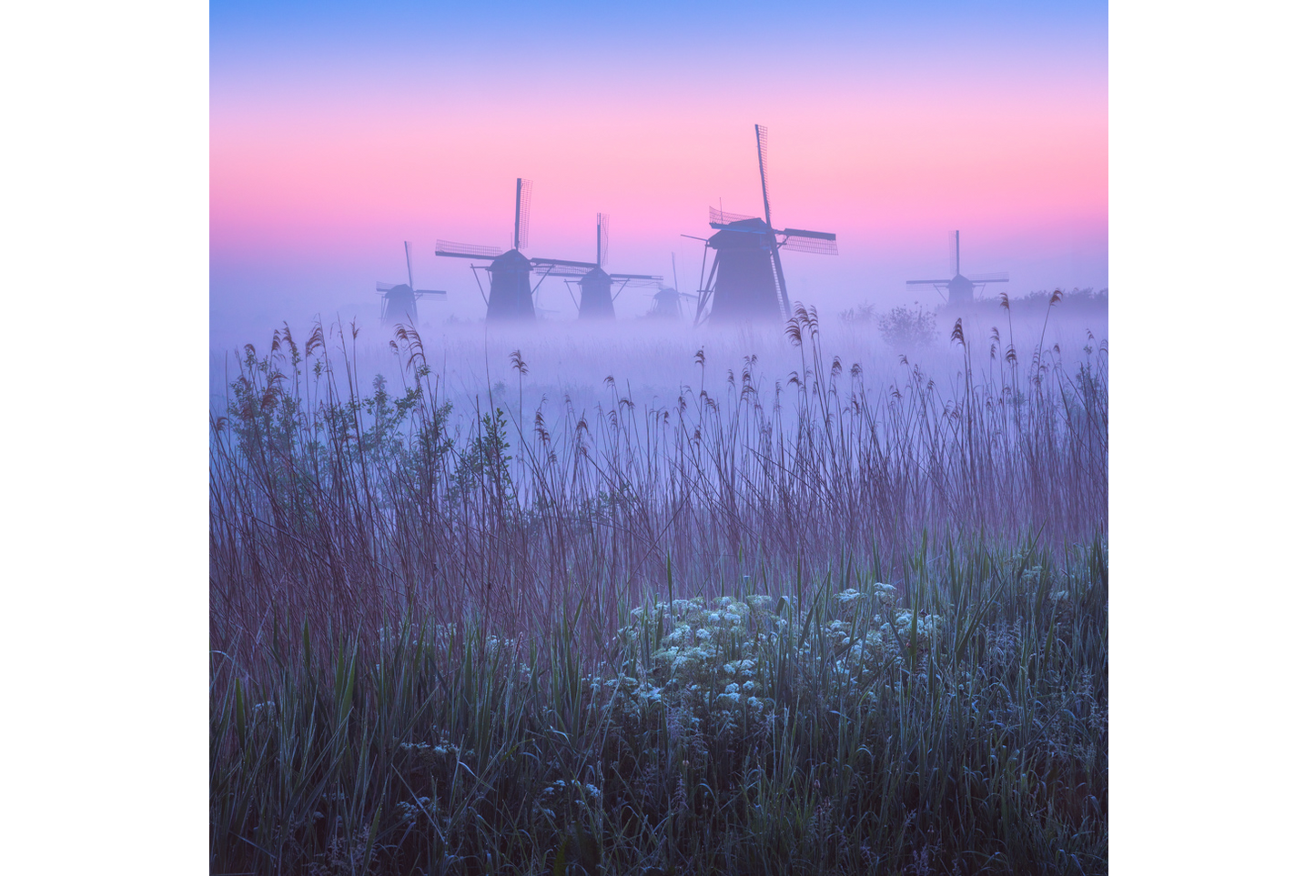 Twilight Windmills