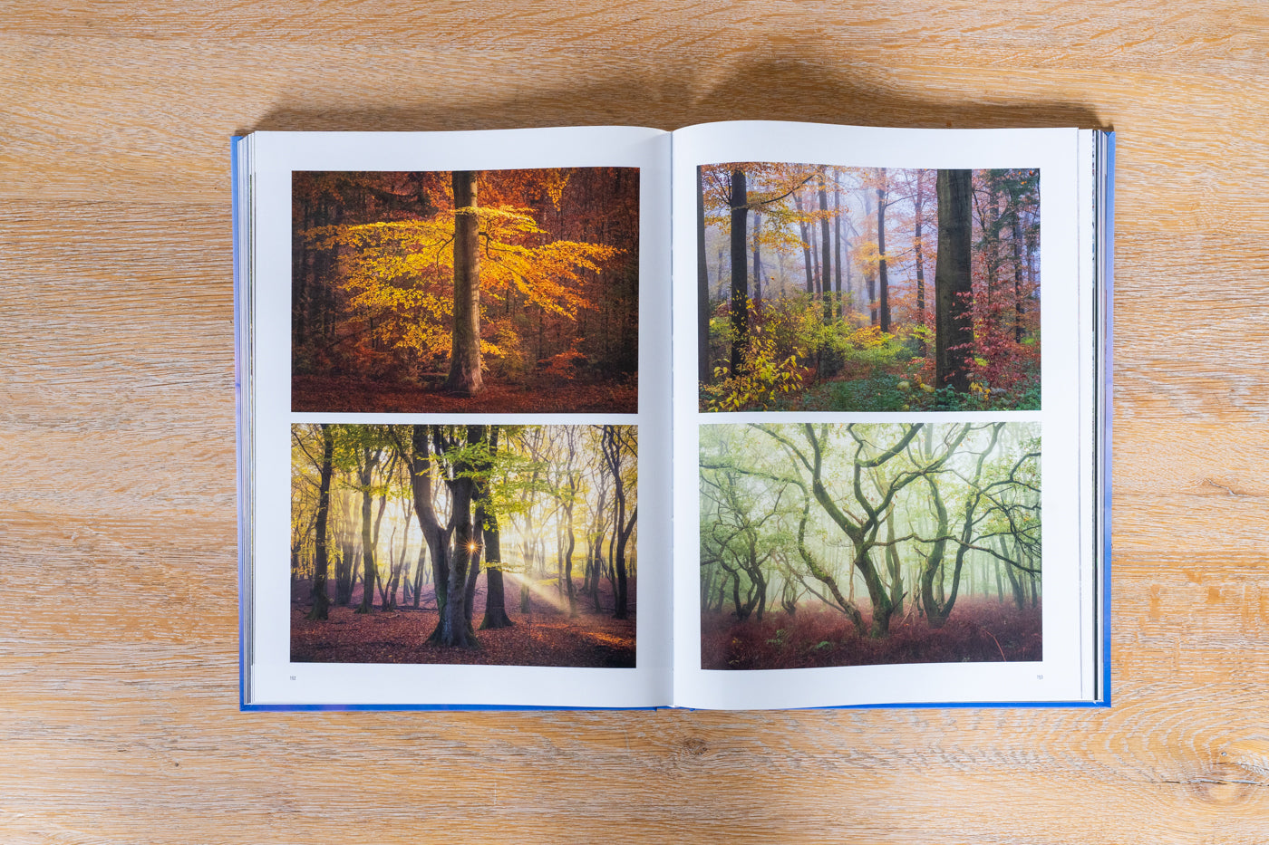 Schoonheid van Nederland Boek - Gesigneerd met Fine Art Print van 'Autumn Swirl'