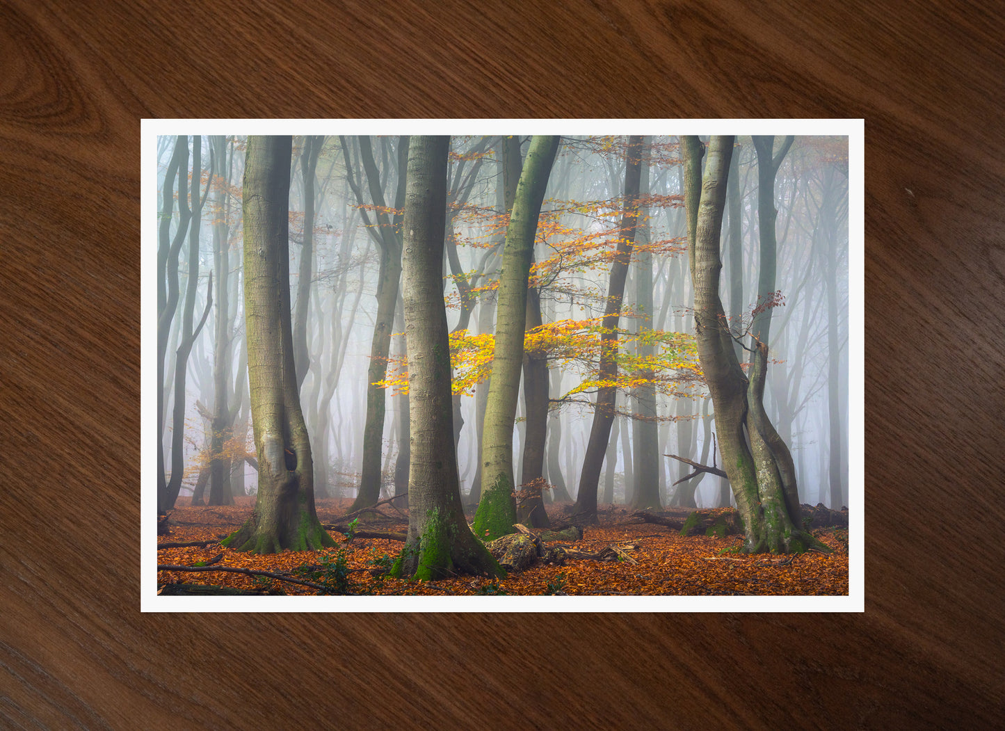 Herfstdansers