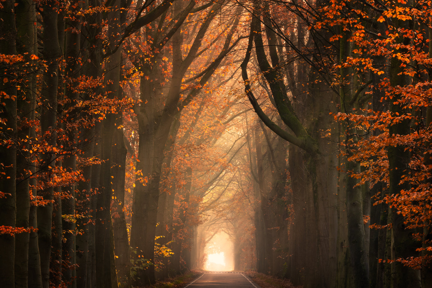 Beautiful Autumn