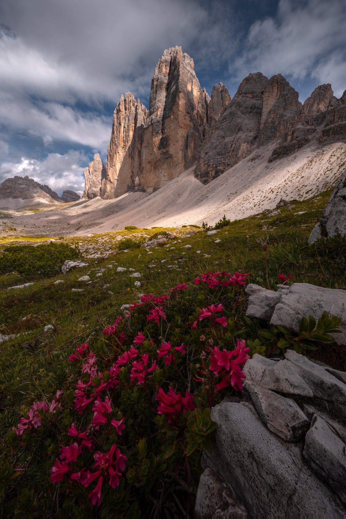 Bloom Beneath the Peaks