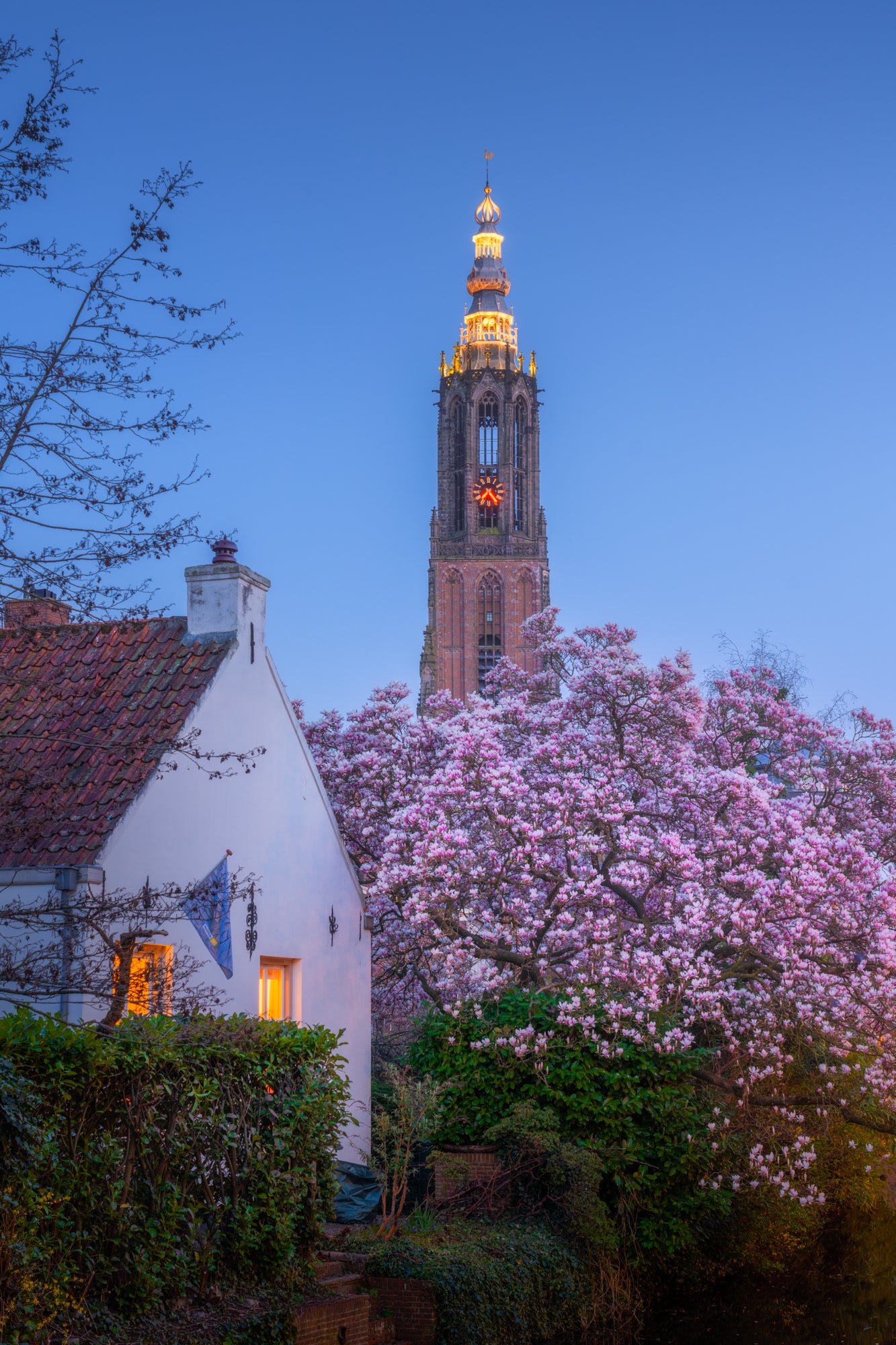 Blossom and Tower