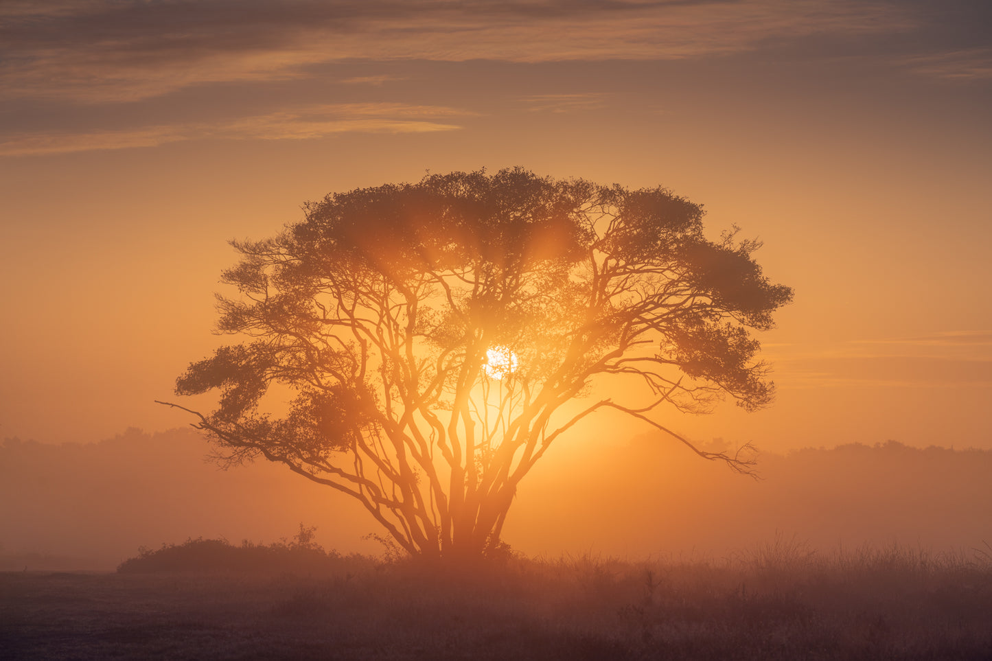 Dutch Africa