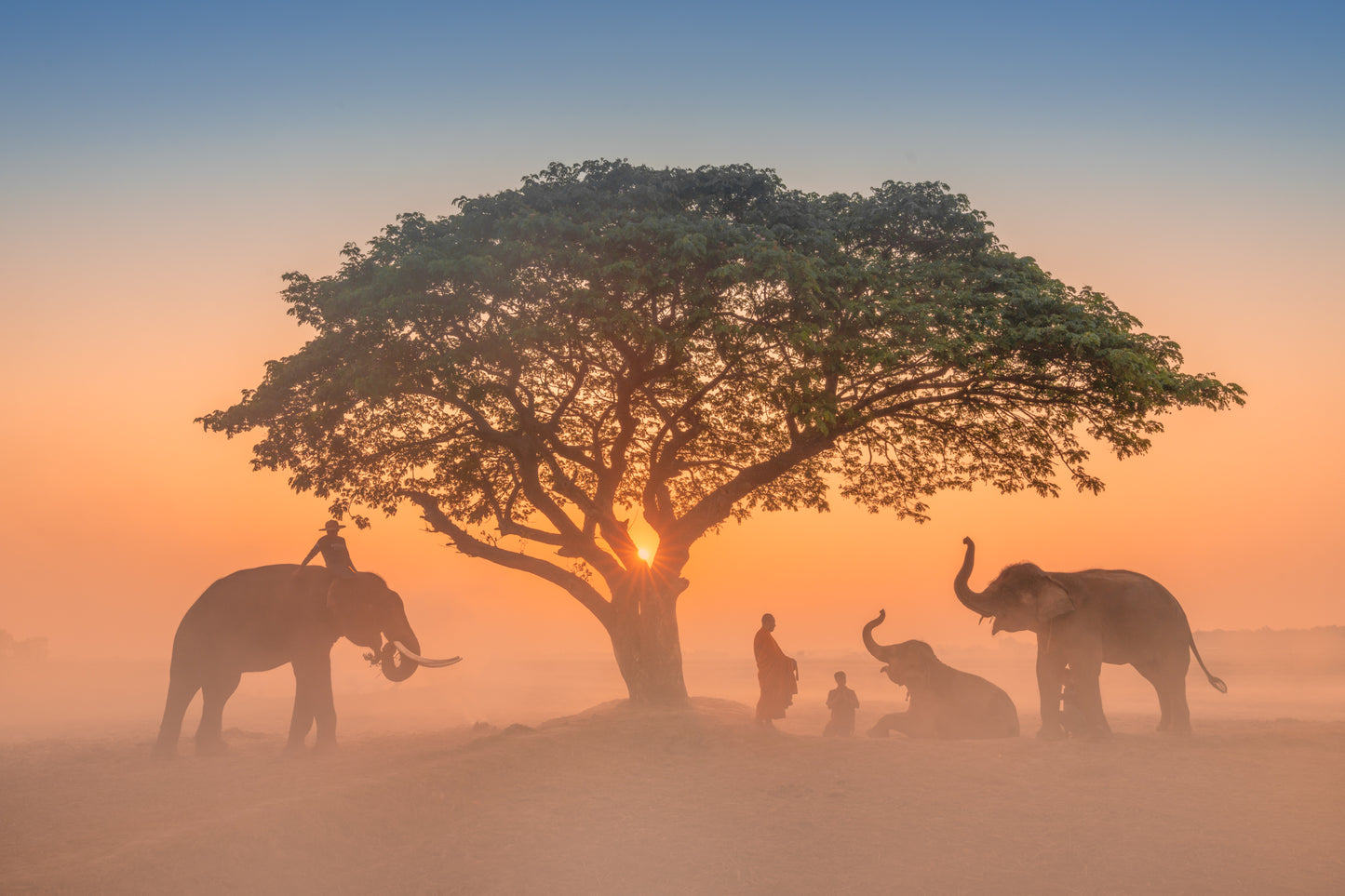 Elephants at Dawn