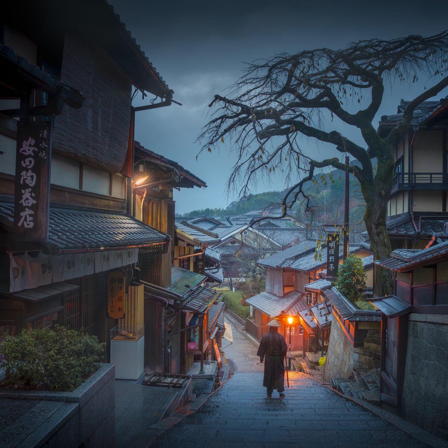 Kyoto Rain