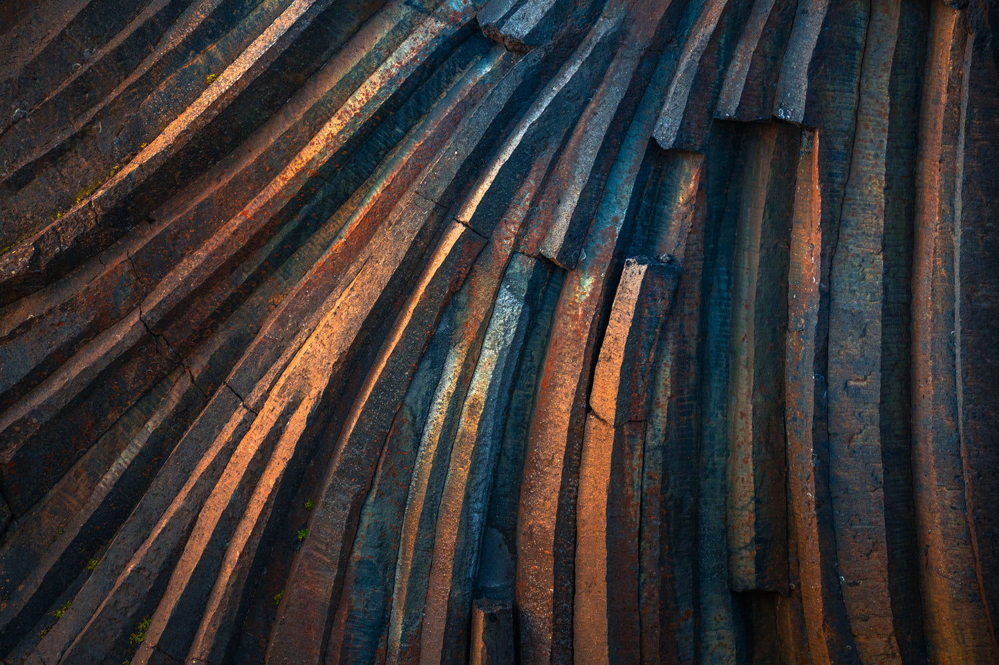 Lines of Time