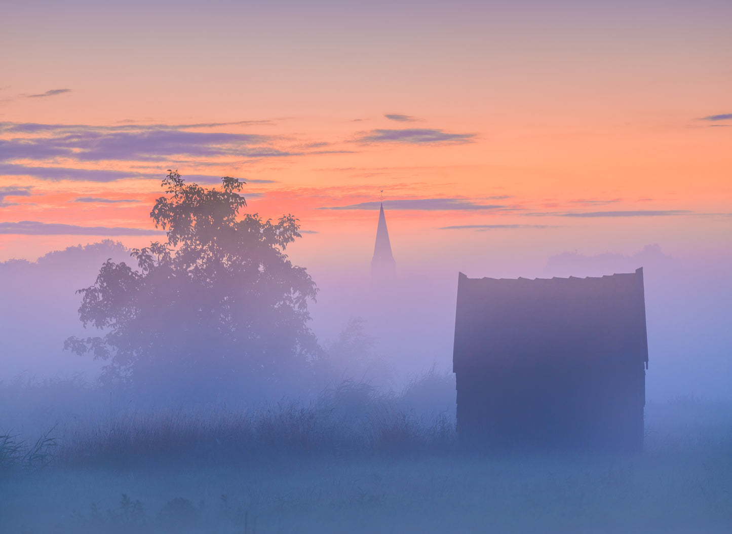 Pink Fog