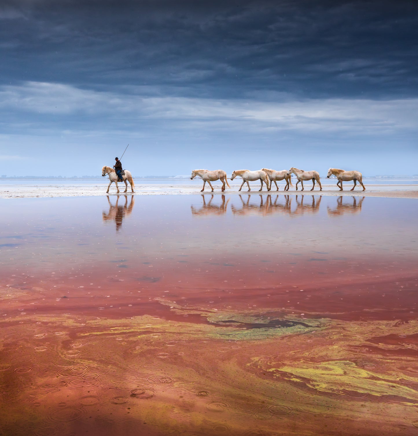 The Horse Herder