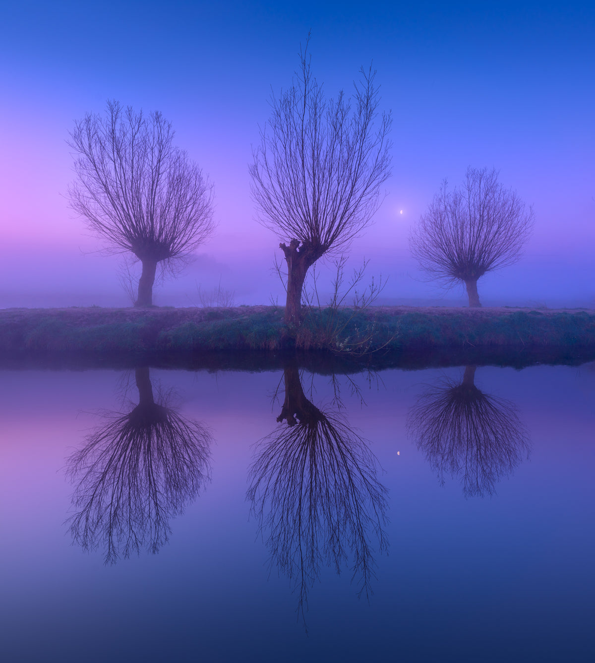 Three Willows
