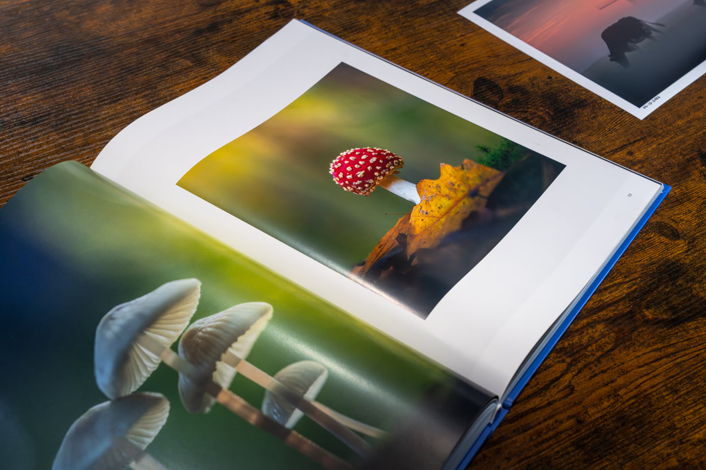 Schoonheid van Nederland Boek - Gesigneerd met Fine Art Print van 'Autumn Swirl'