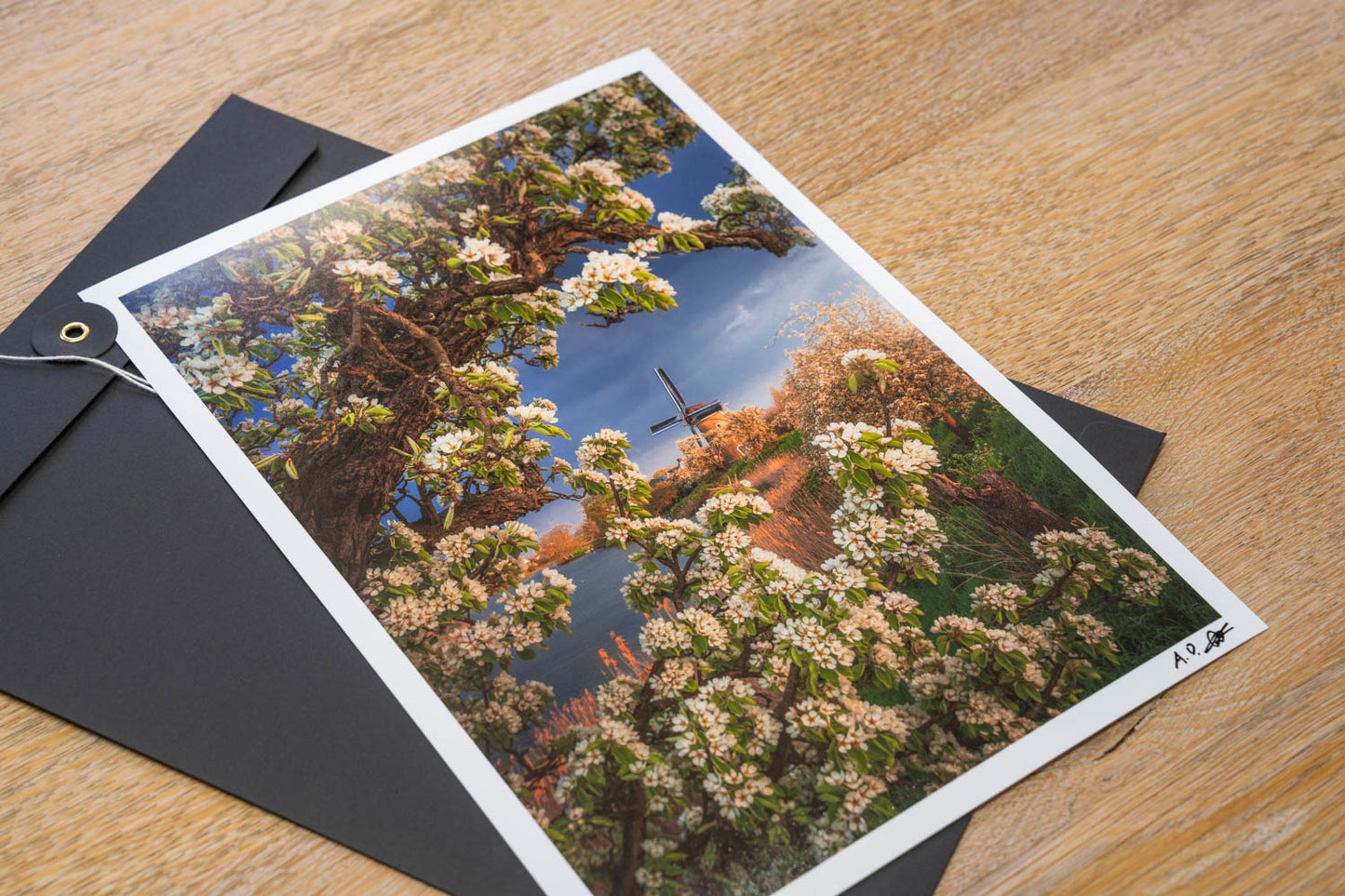 Schoonheid van Nederland Boek - Gesigneerd met Fine Art Print van 'Autumn Swirl'