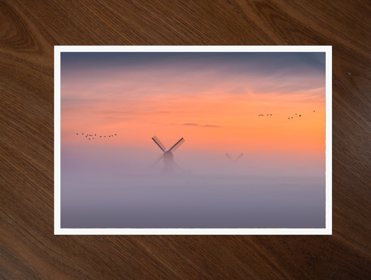 A Flight Through Silence print