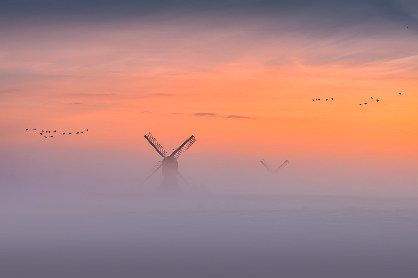 A Flight Through Silence