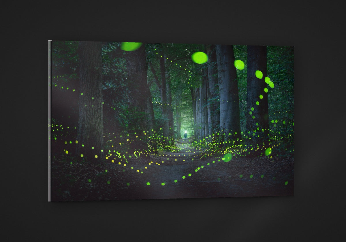 A Forest Full Of Fireflies acryl