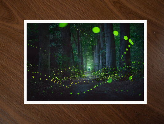 A Forest Full Of Fireflies print