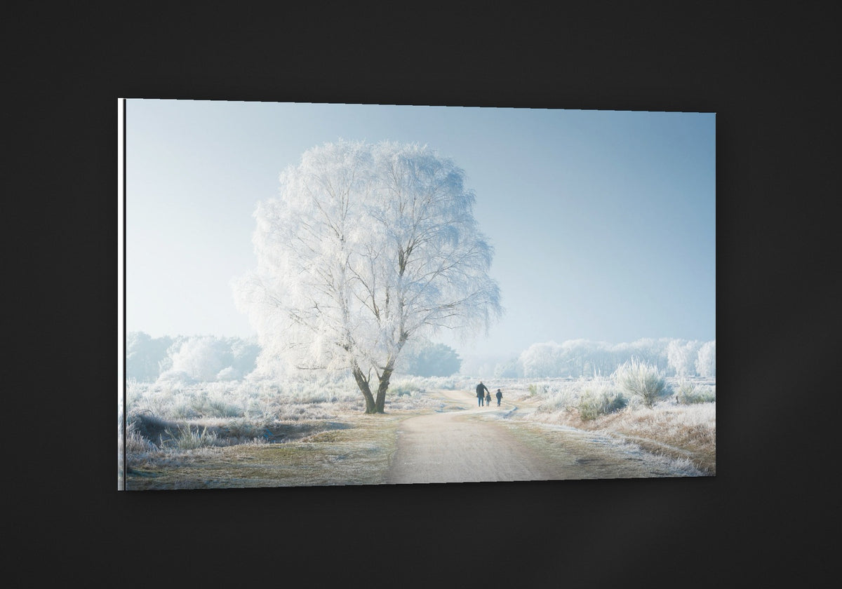 A Frozen Wonderland acryl