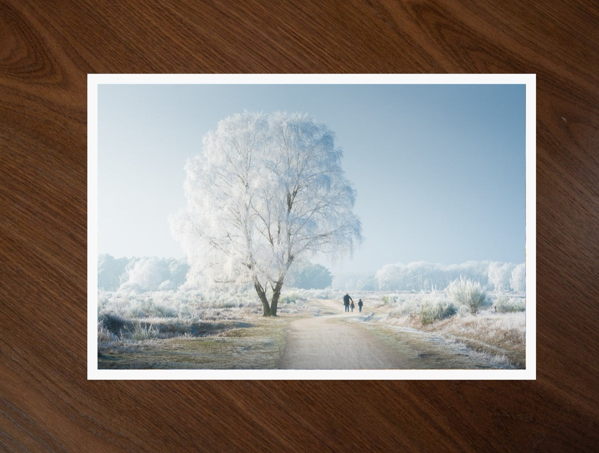 A Frozen Wonderland print