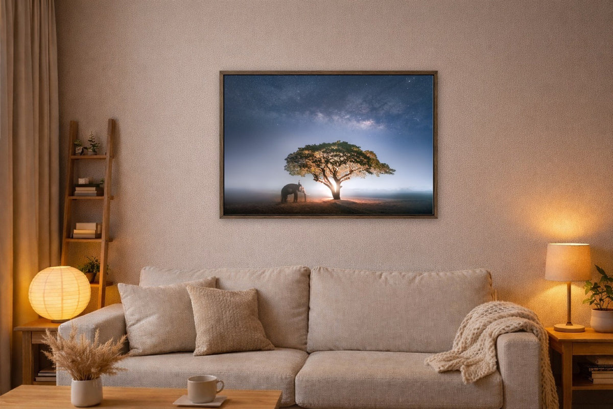 A Night with the Elephants lijst kamer