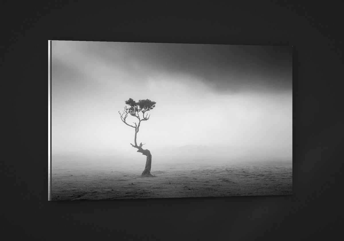 Alone in the Mist acryl