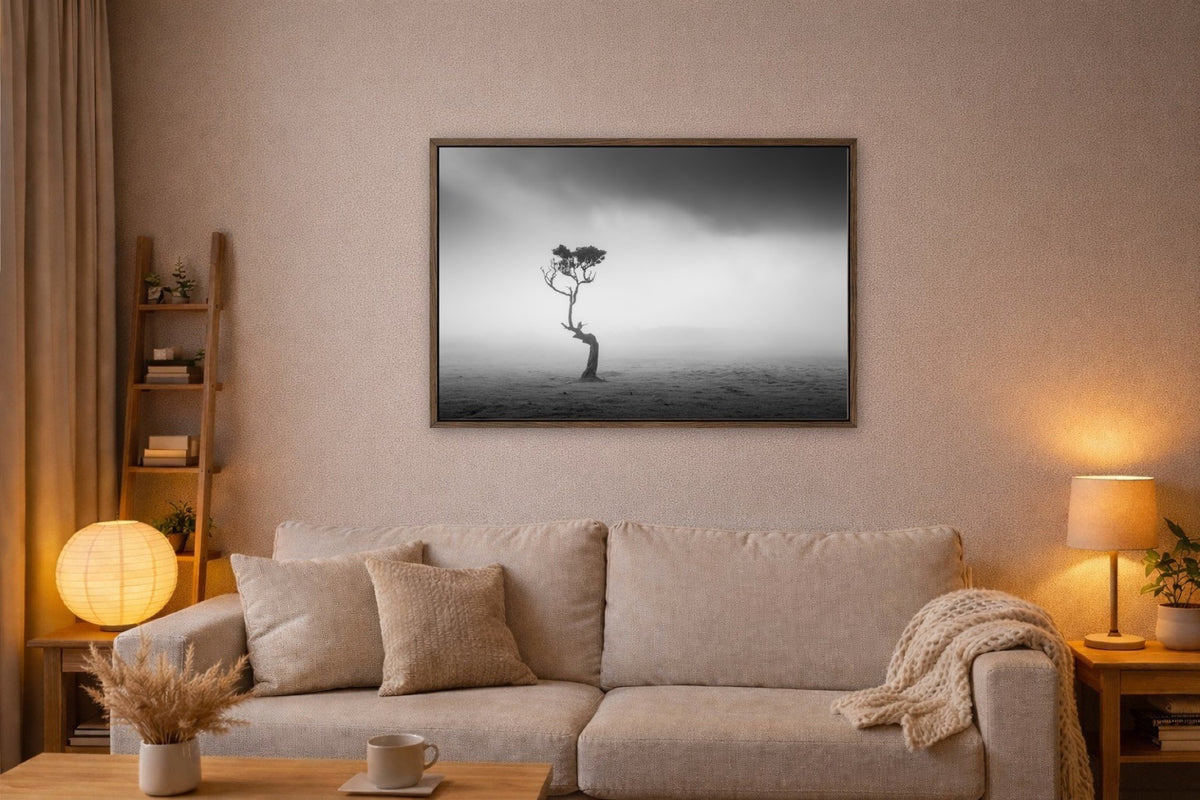 Alone in the Mist lijst kamer