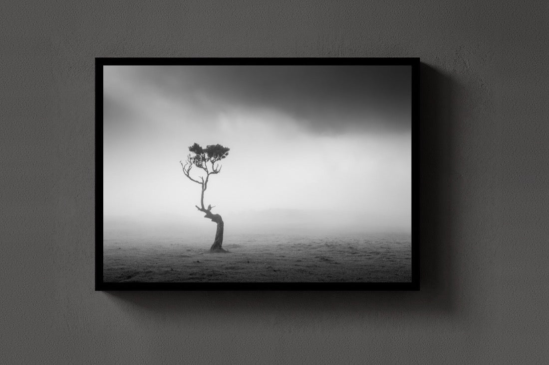 Alone in the Mist lijst