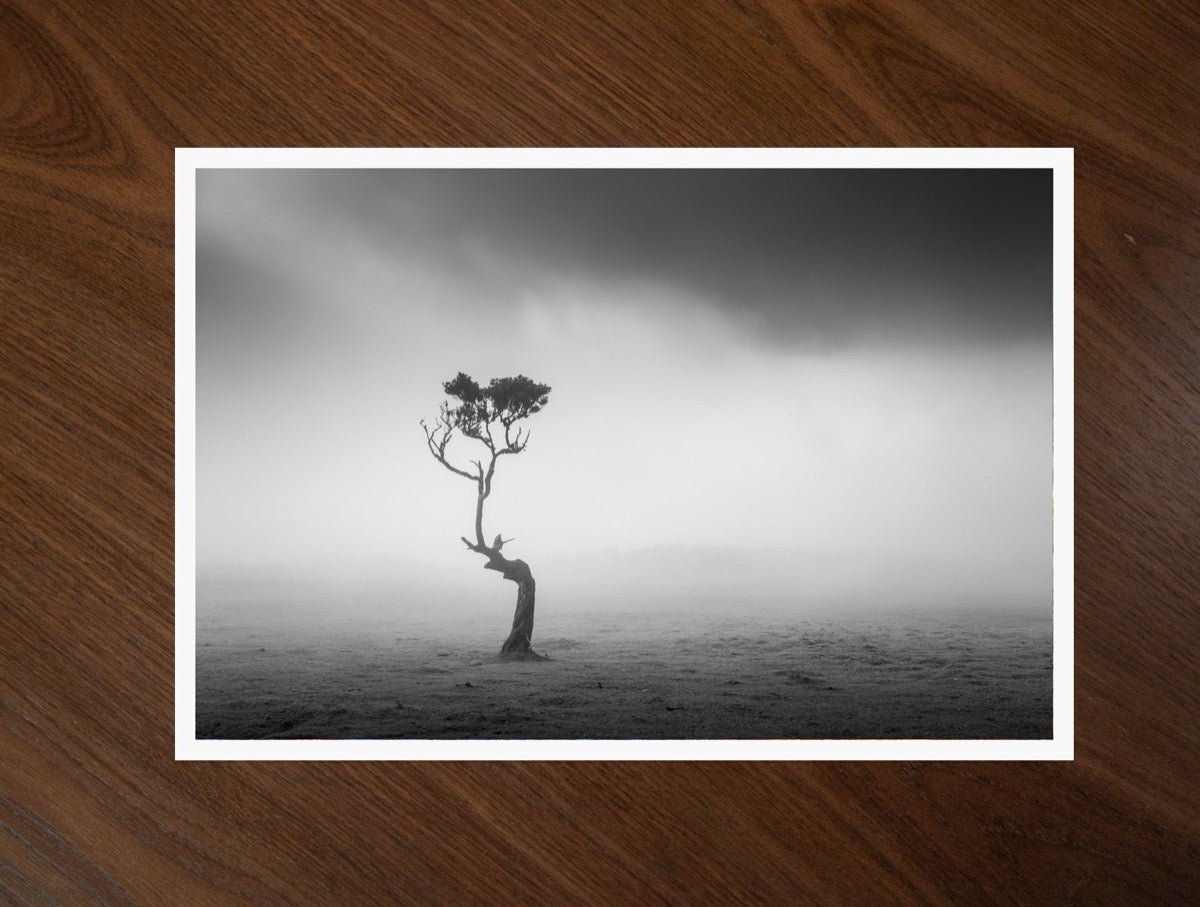 Alone in the Mist print