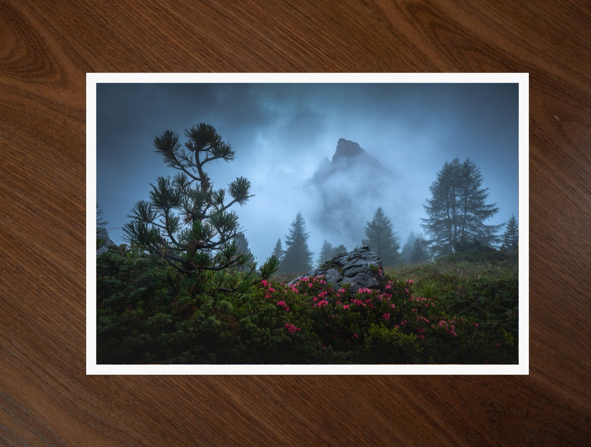 Alpine Mist print