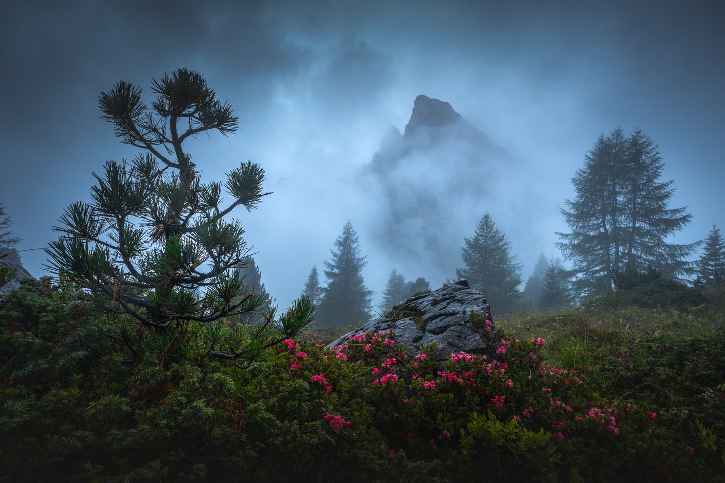 Alpine Mist