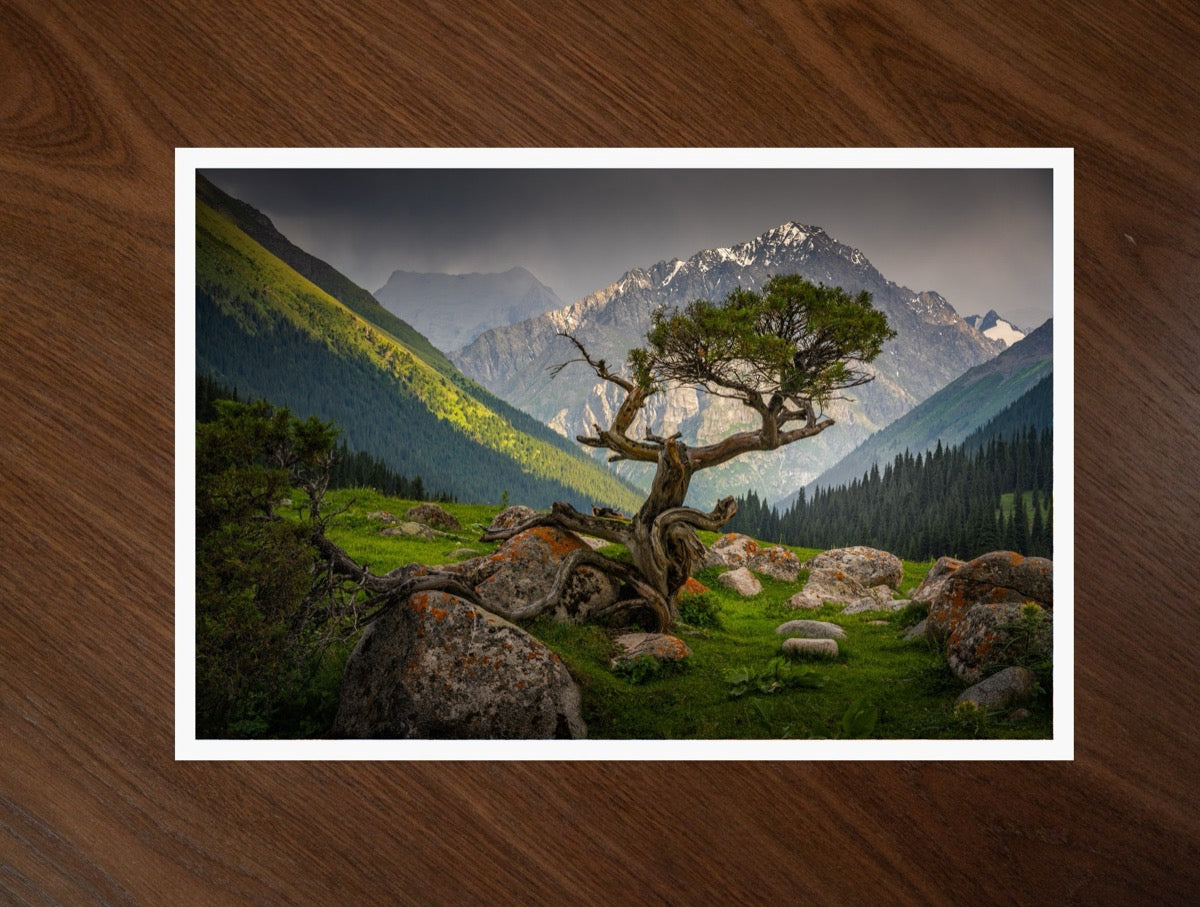 Altyn-Arashan print