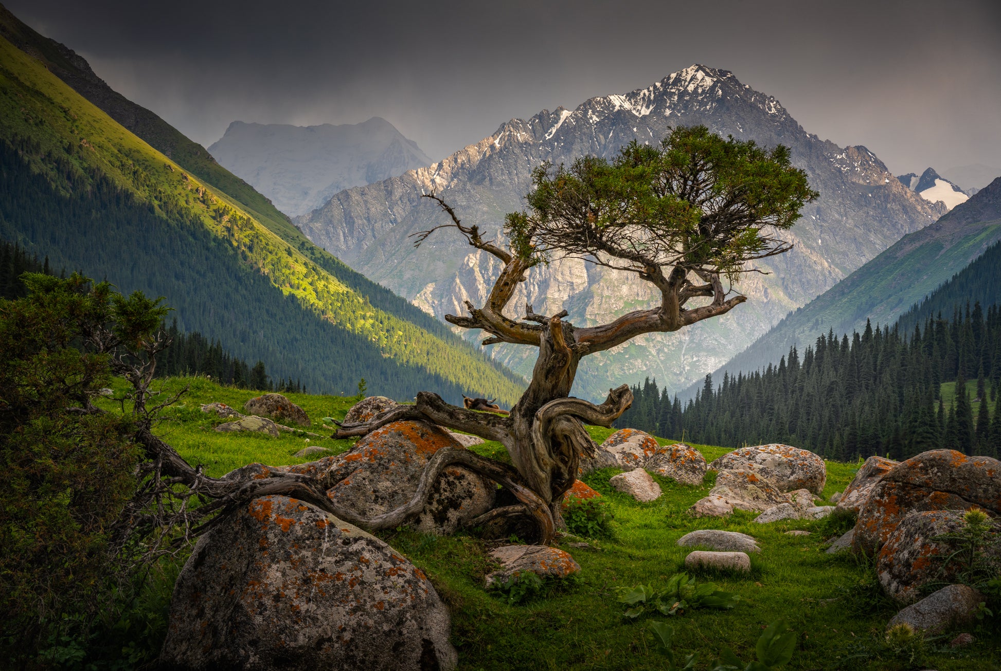Altyn-Arashan