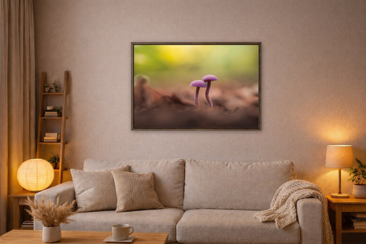 Amethyst lijst kamer