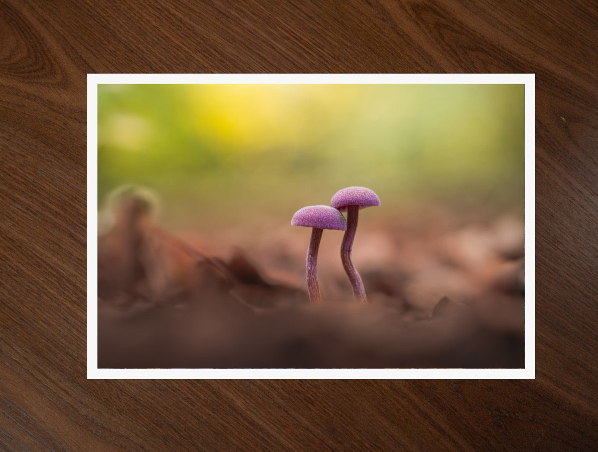 Amethyst print
