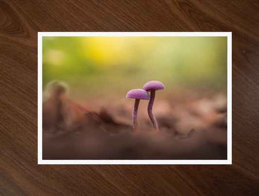 Amethyst print