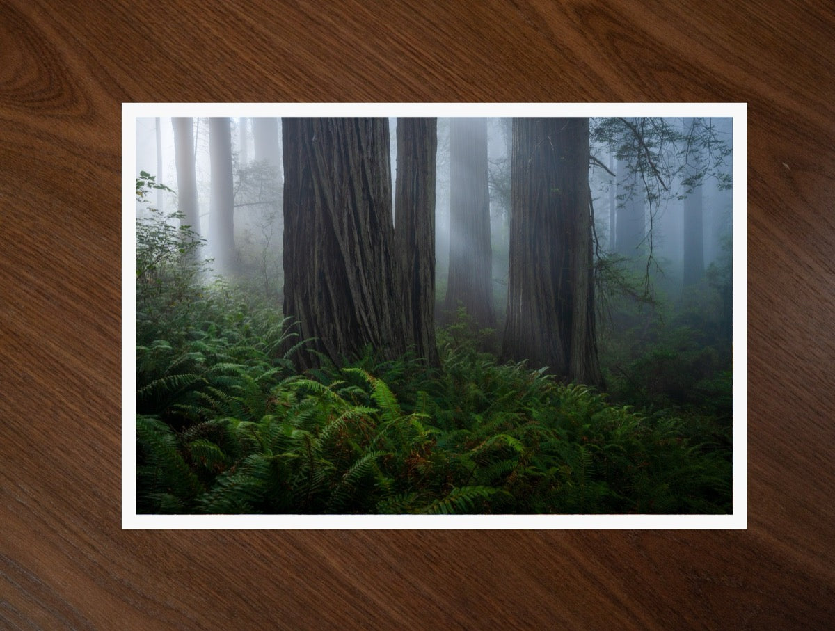 Among the Giants print