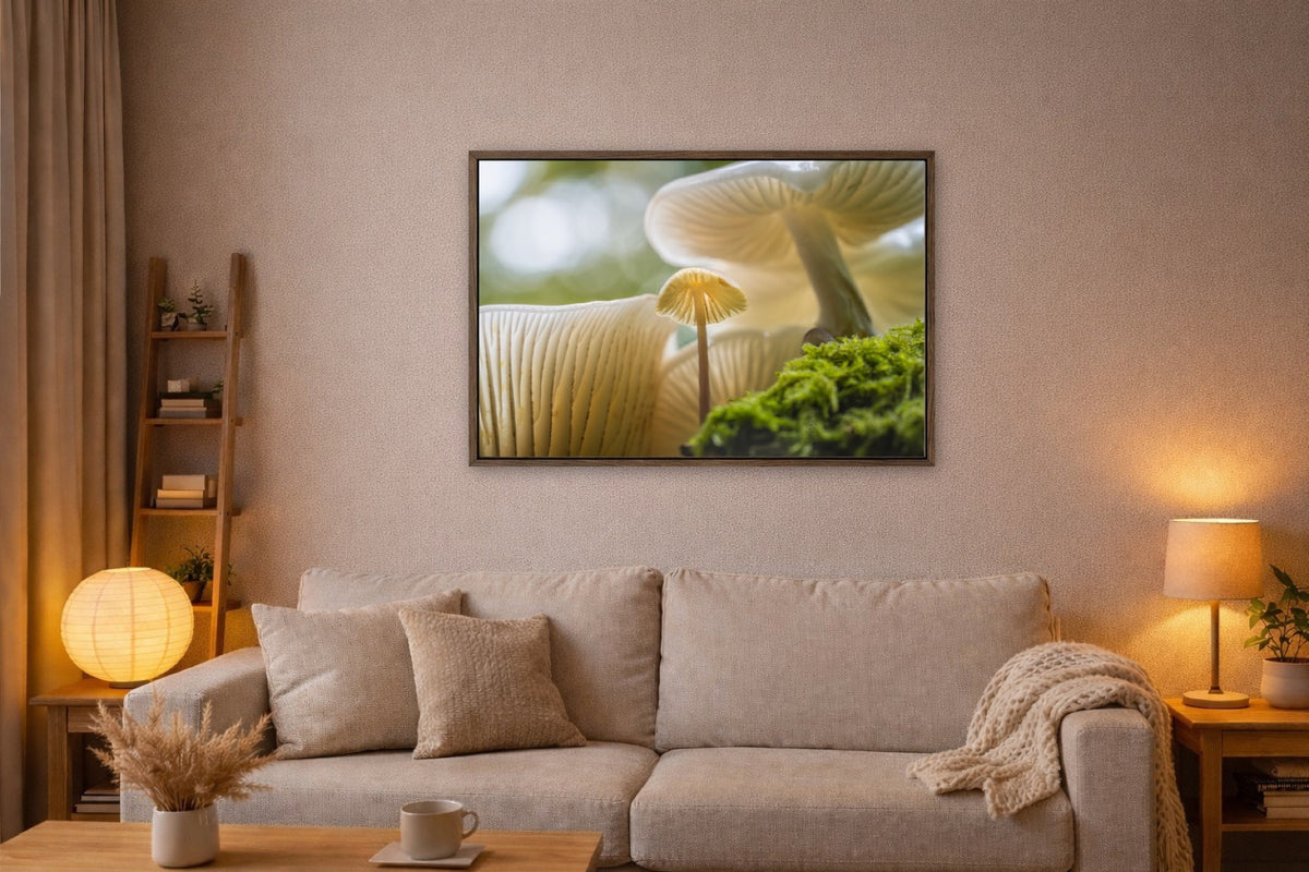 Among the Gills lijst kamer