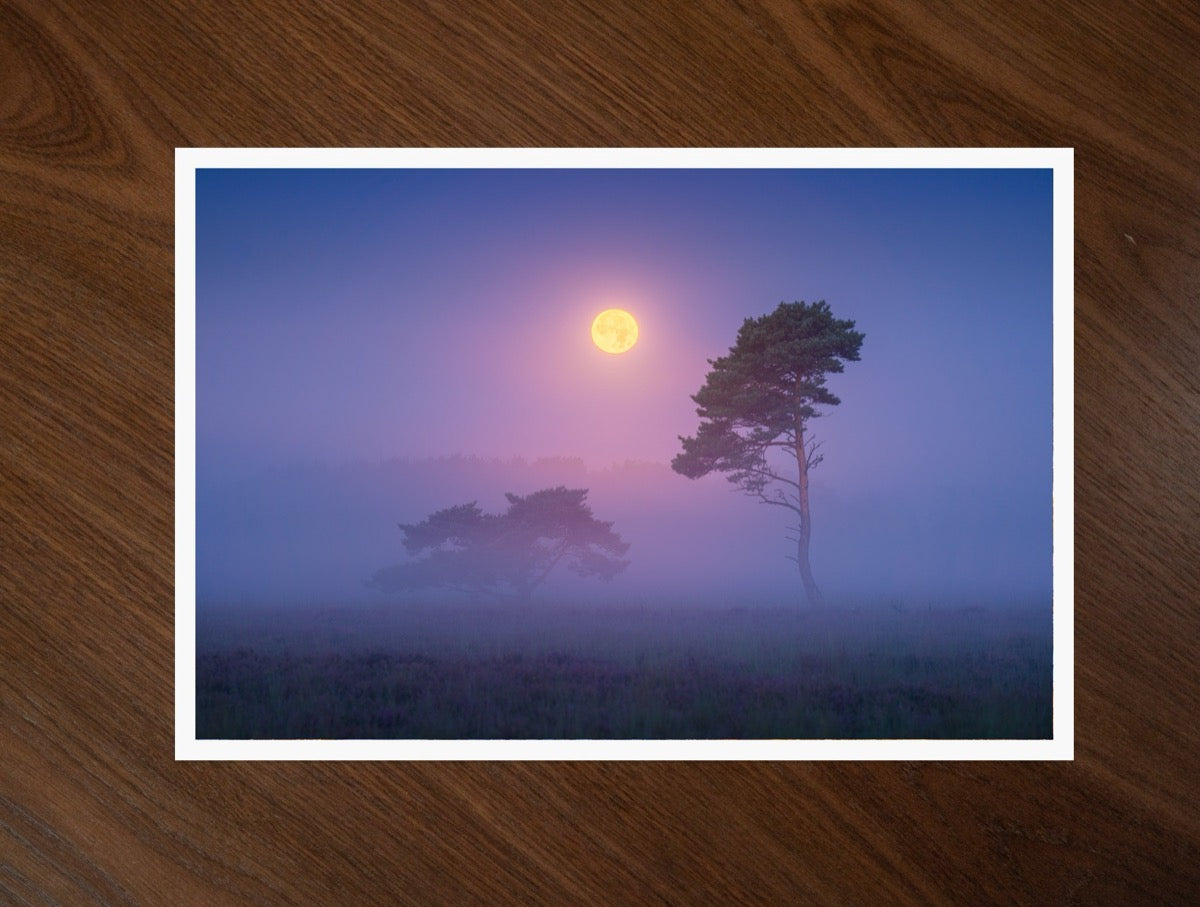 Ancestral Plane print