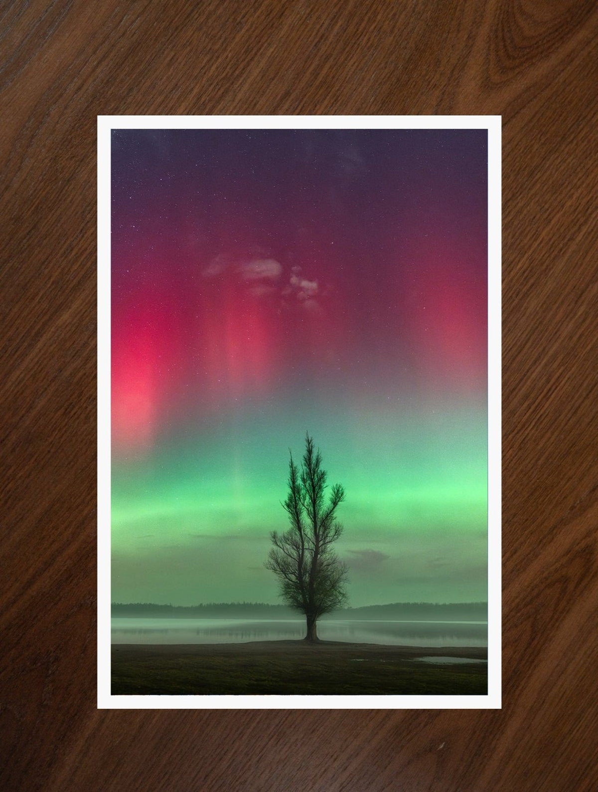 Aurora Tree print