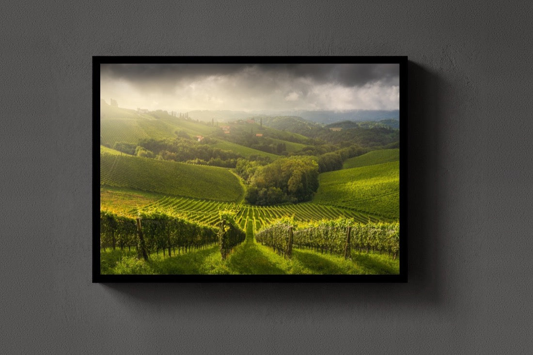 Austrian Painting lijst