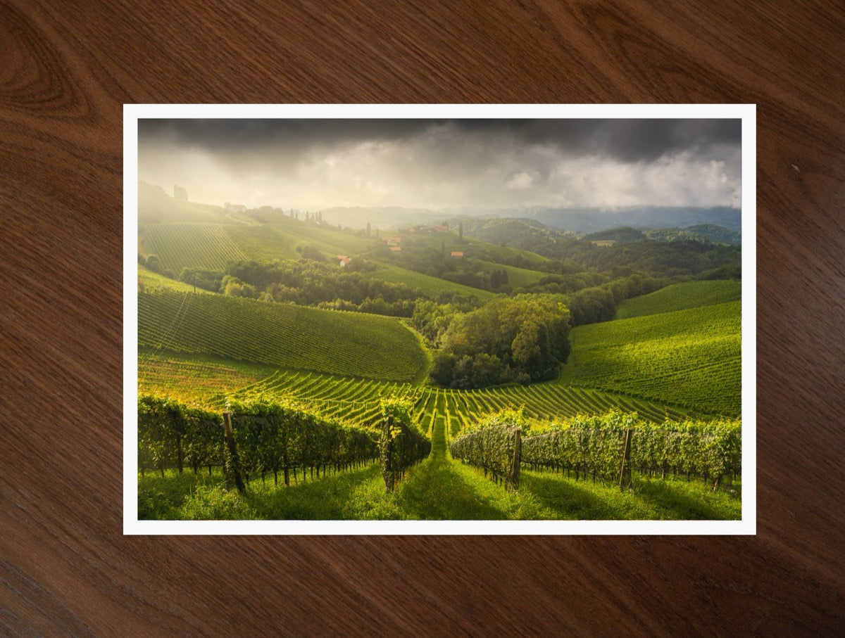 Austrian Painting print