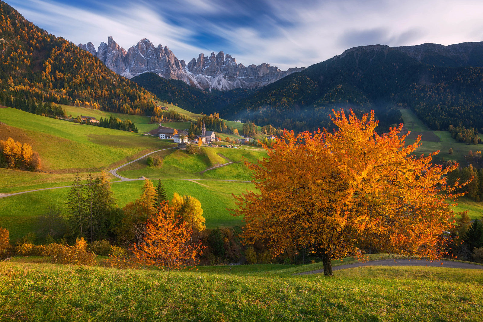 Autumn Dream
