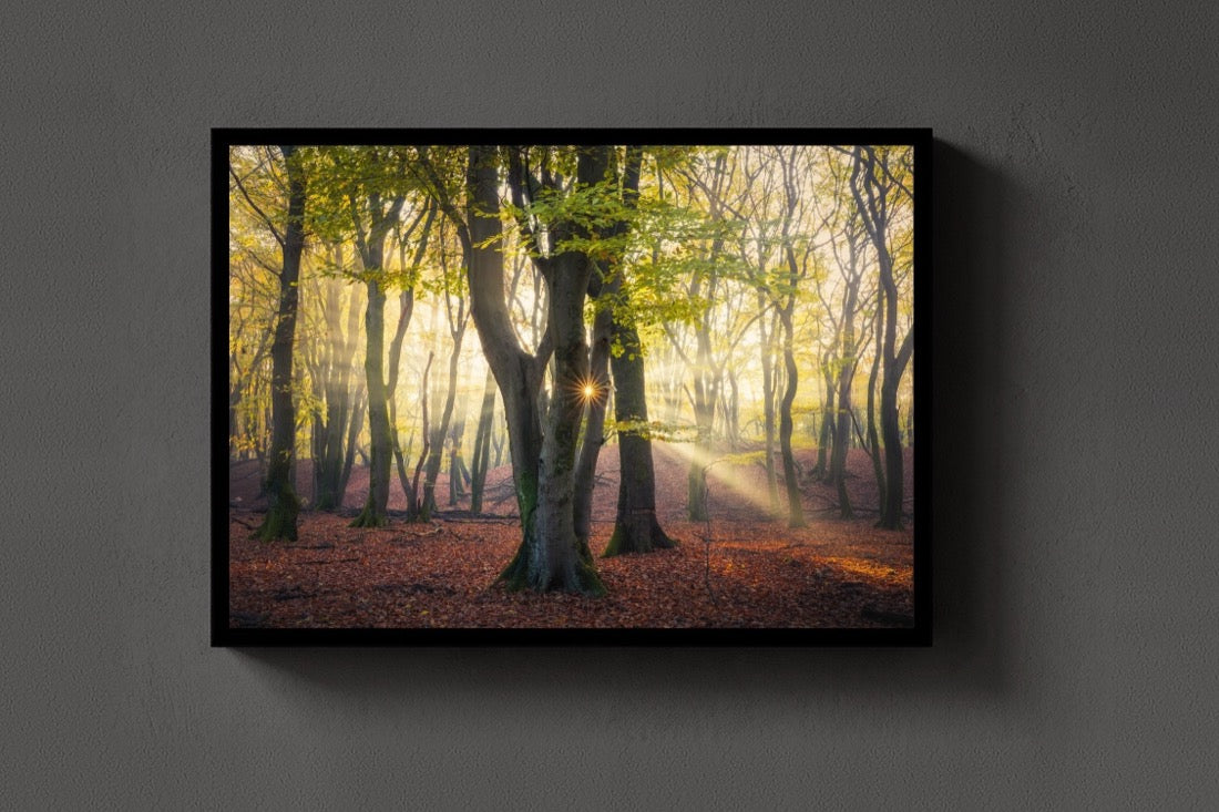 Autumn Forest lijst