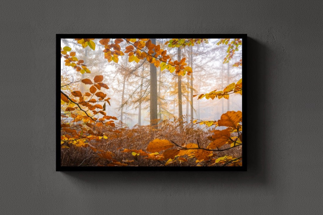 Autumn Light lijst