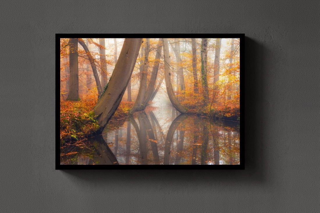 Autumn Mirror lijst