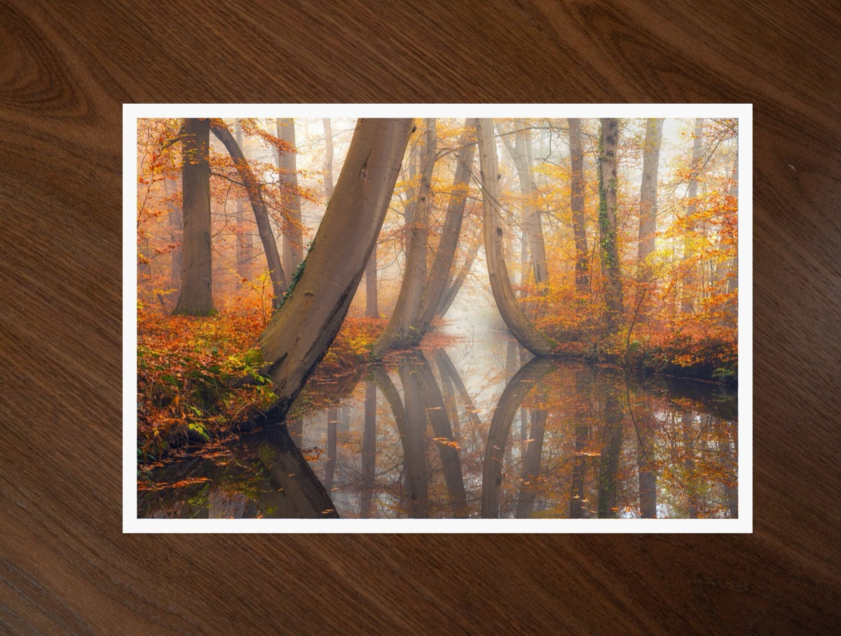 Autumn Mirror print