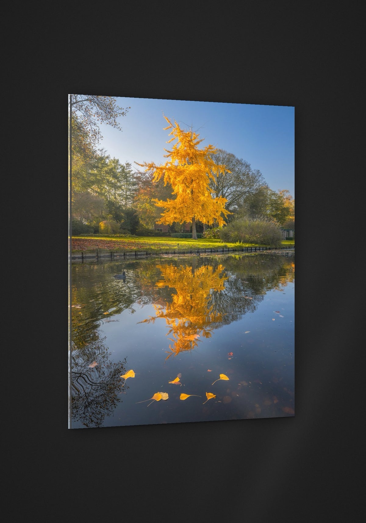 Autumn Reflection acryl