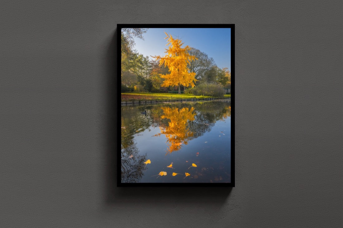 Autumn Reflection lijst