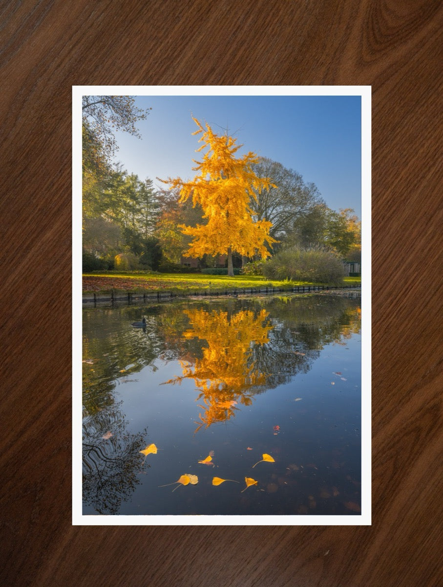 Autumn Reflection print