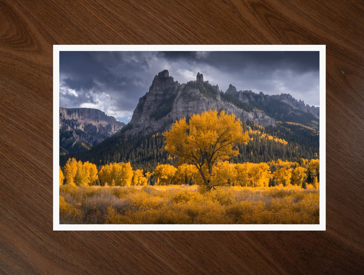 Autumn Sentinels print