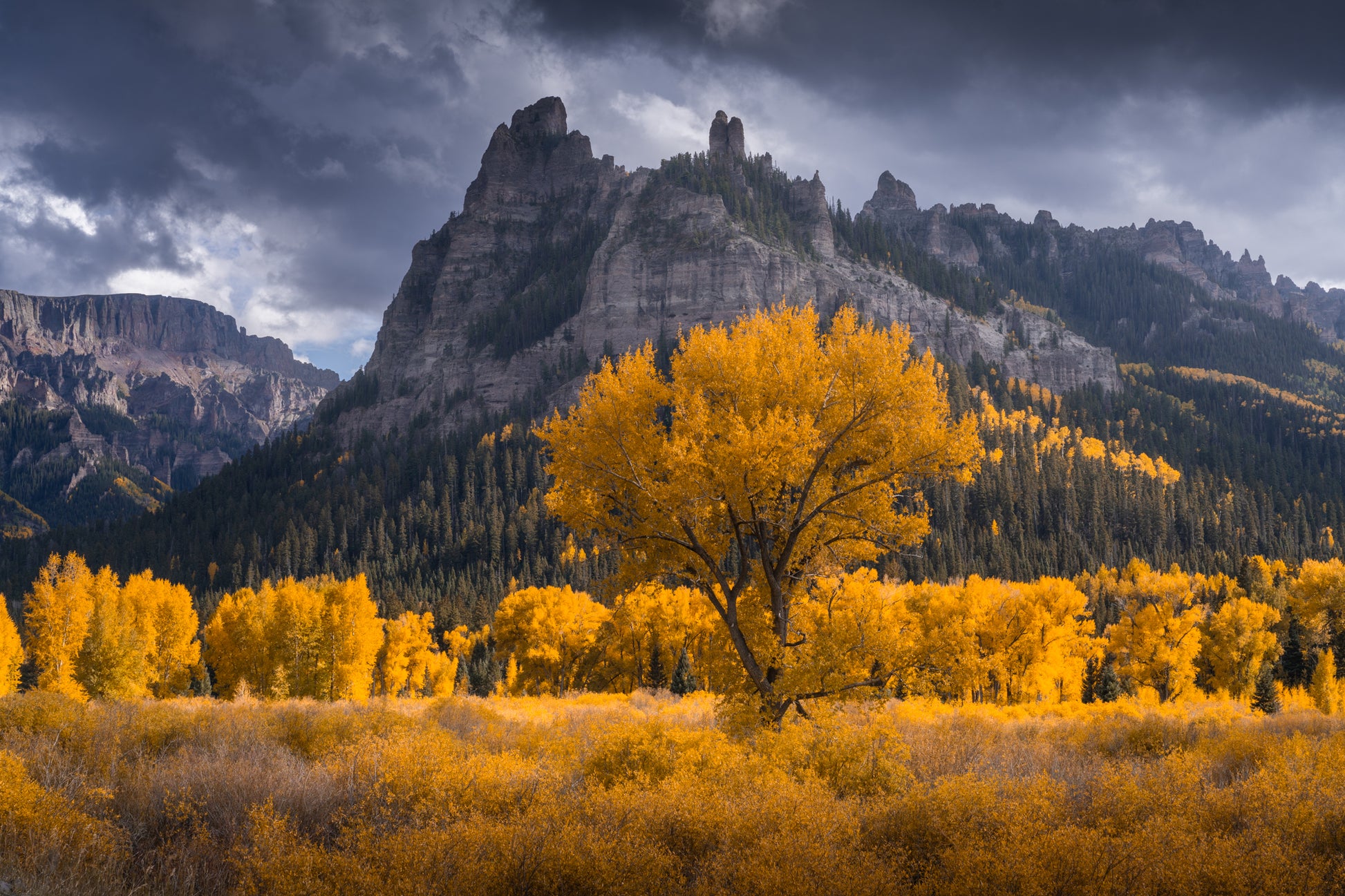 Autumn Sentinels
