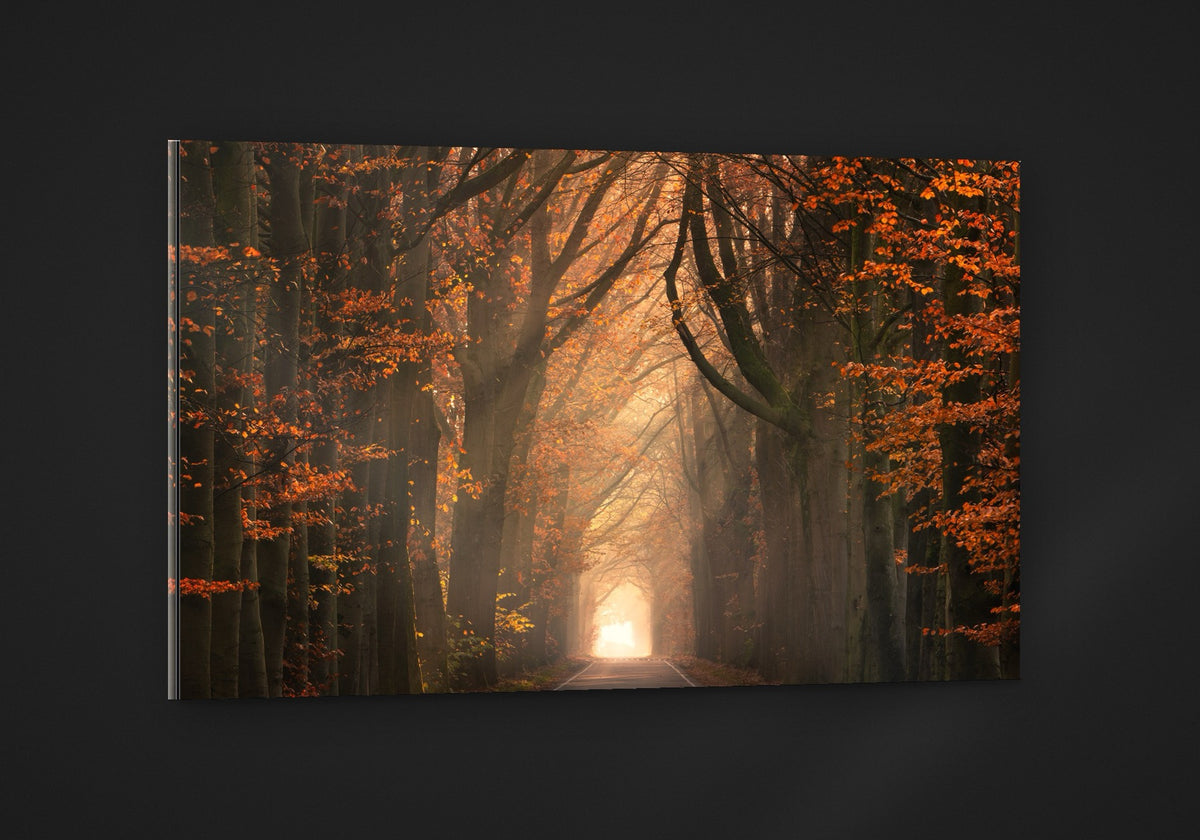 Beautiful Autumn acryl
